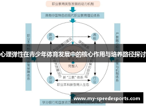 心理弹性在青少年体育发展中的核心作用与培养路径探讨