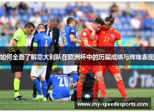 如何全面了解意大利队在欧洲杯中的历届成绩与辉煌表现