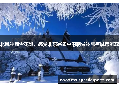 北风呼啸雪花飘，感受北京寒冬中的刺骨冷意与城市沉寂